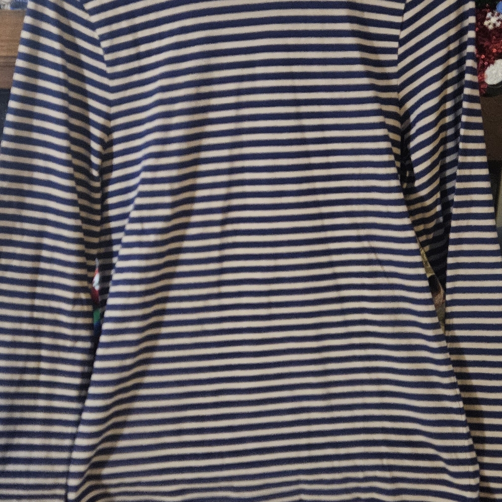 J. Crew Navy and Tan Striped Top